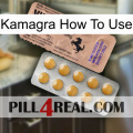 Kamagra How To Use 41